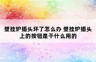 壁挂炉插头坏了怎么办 壁挂炉插头上的按钮是干什么用的